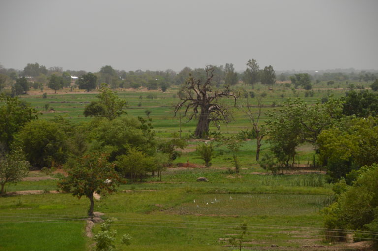 Northern Ghana